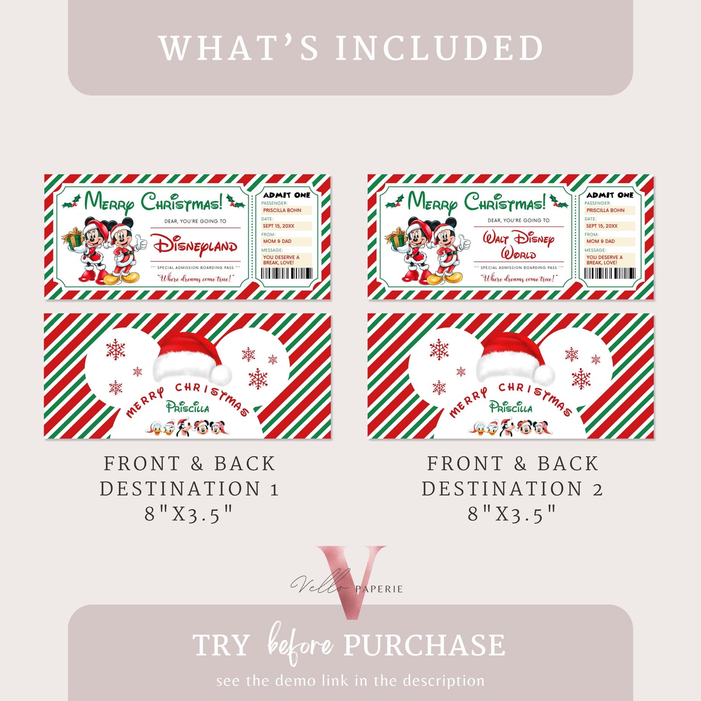 Christmas Disneyland / Disneyworld  Ticket | Editable Printable Theme Park Surprise Reveal Ticket | Disney Trip Ticket, Christmas Gift DST12