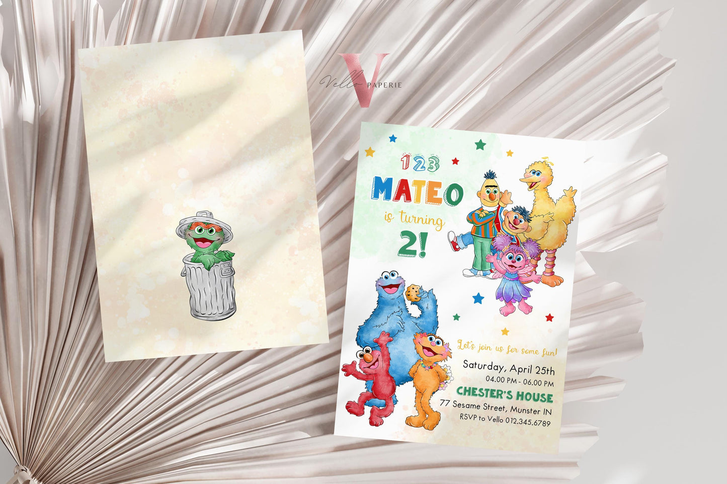 Editable Printable Sesame Street Birthday Invitation | Watercolor Boy Girl Fun Colorful Birthday Party Invite | Any Age Elmo Invite