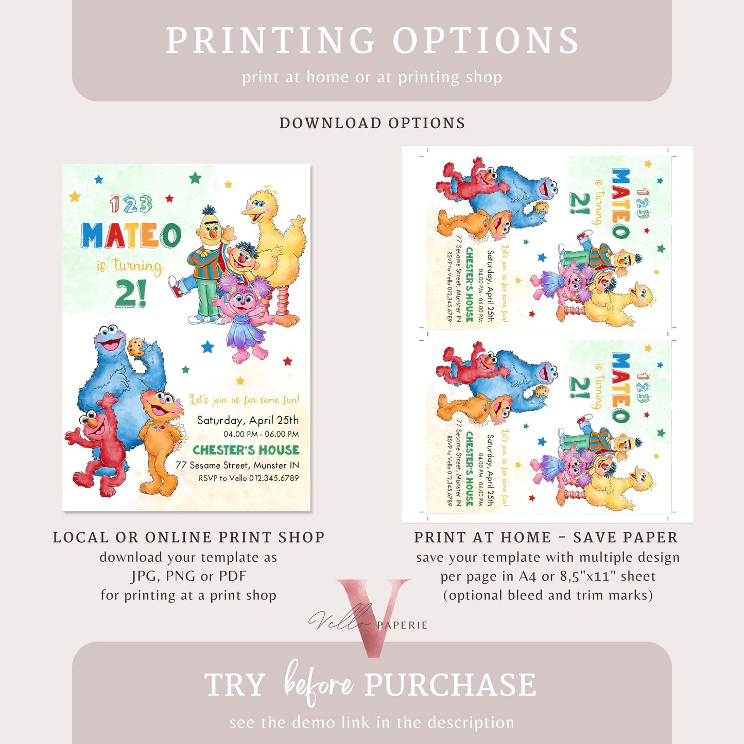 Editable Printable Sesame Street Birthday Invitation | Watercolor Boy Girl Fun Colorful Birthday Party Invite | Any Age Elmo Invite