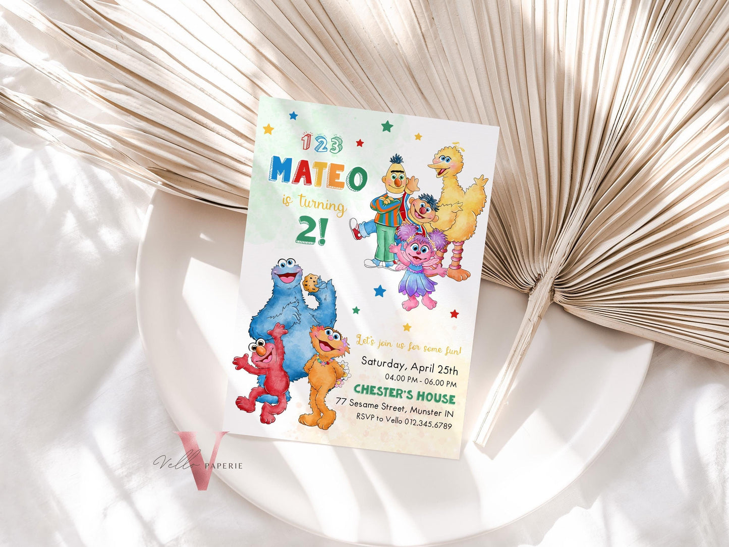 Editable Printable Sesame Street Birthday Invitation | Watercolor Boy Girl Fun Colorful Birthday Party Invite | Any Age Elmo Invite