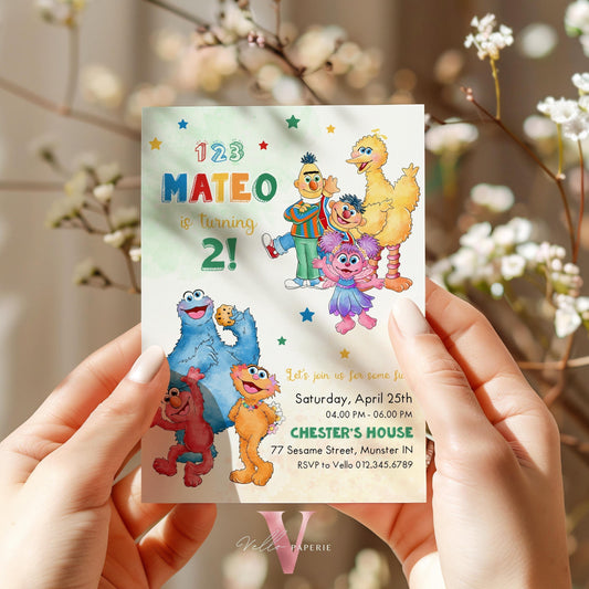 Editable Printable Sesame Street Birthday Invitation | Watercolor Boy Girl Fun Colorful Birthday Party Invite | Any Age Elmo Invite